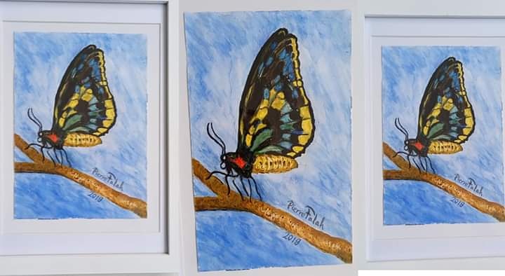 🦋🦋🦋🦋لوحتي الاخيرة لفراشة🦋
🦋(Ornithopter priamus)🦋🦋🦋🦋
بالألوان أكريليك
(acrylic)
Min senaste målning av en fjäril
🦋(ornithopter priamus)🦋
målad med akrylfärg
#min_konst
