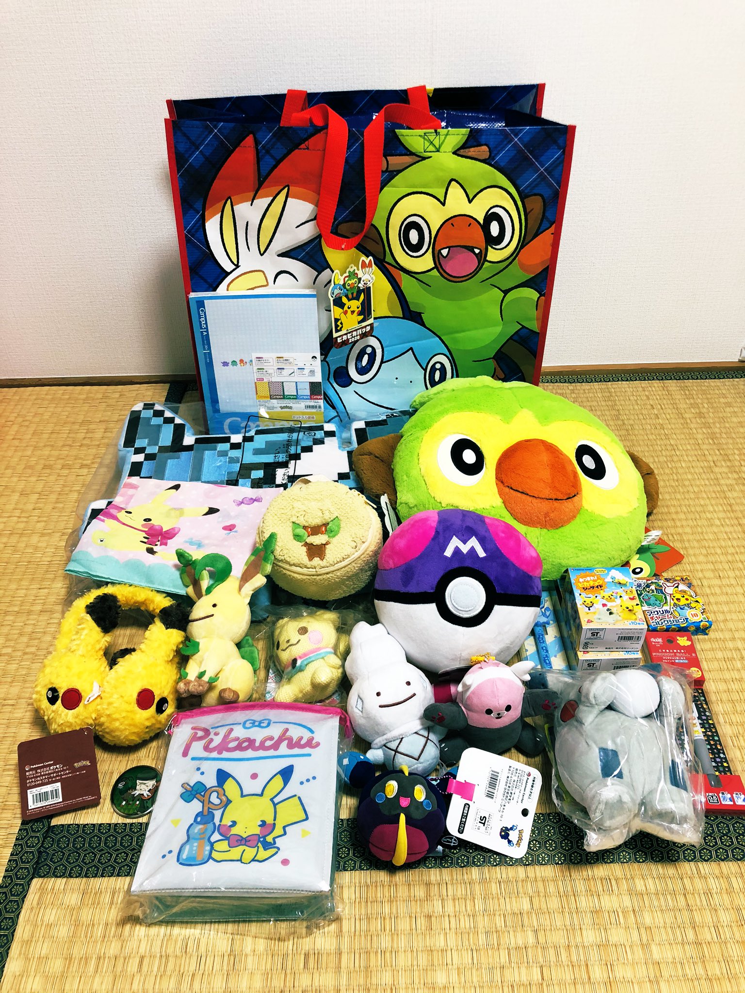 ポケモンピカピカバック2020