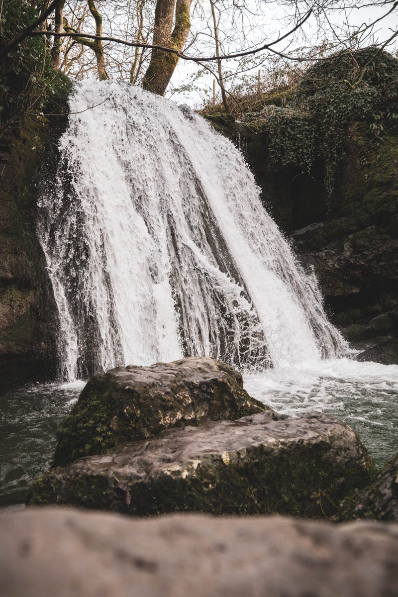 SamuelDP32's tweet photo. A lovely sunny day in North Yorkshire yesterday - great time to visit Malham and Janet's Foss 🏞️ https://t.co/BgIUw6UBGP