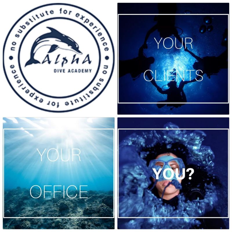 Alpha Dive Centre tweet media