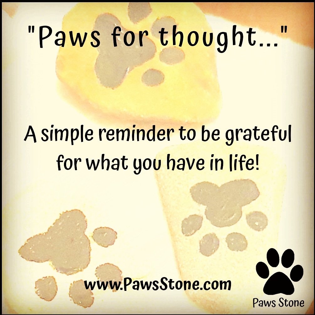 PawsStone tweet picture