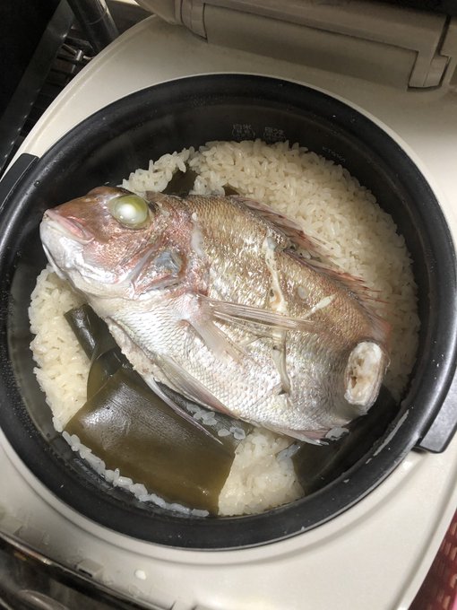 この後無事、昇天しました 