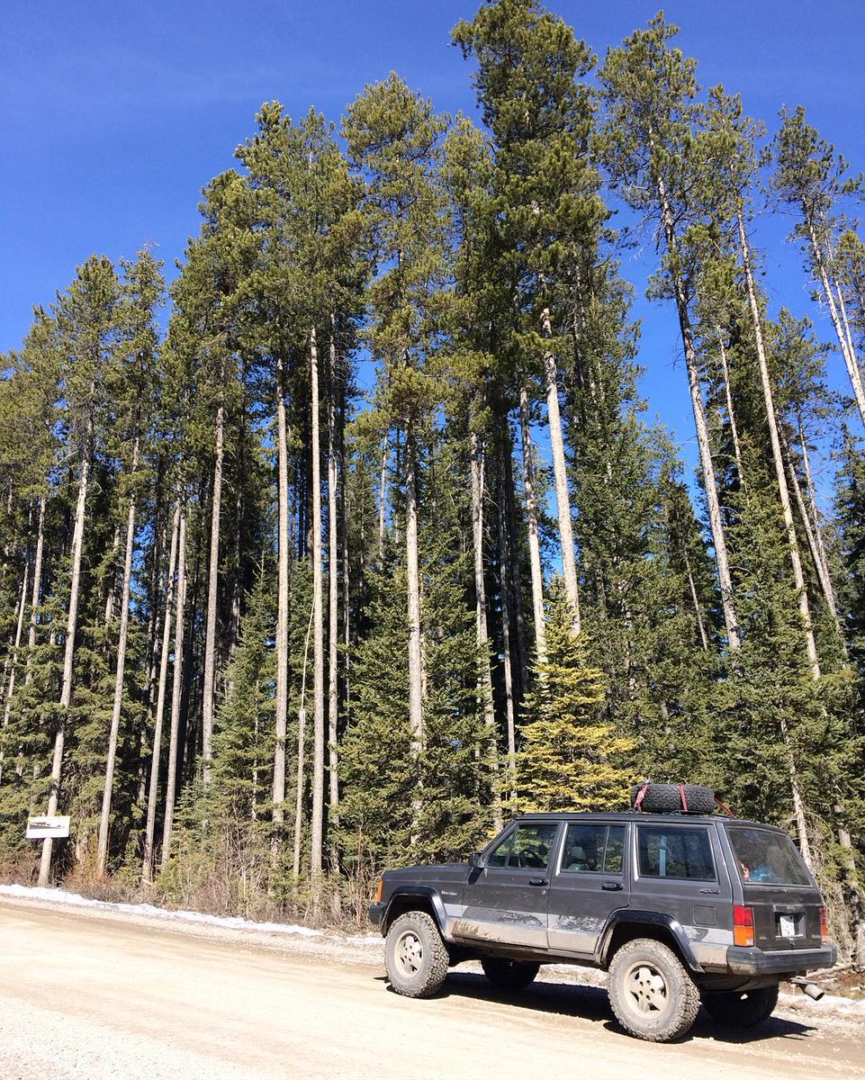 rebbaxter's tweet image. miss my jeep. Named her JICKS #truth
#4real #needacherokeesobad #jeep #6L #gas #4wd #bc