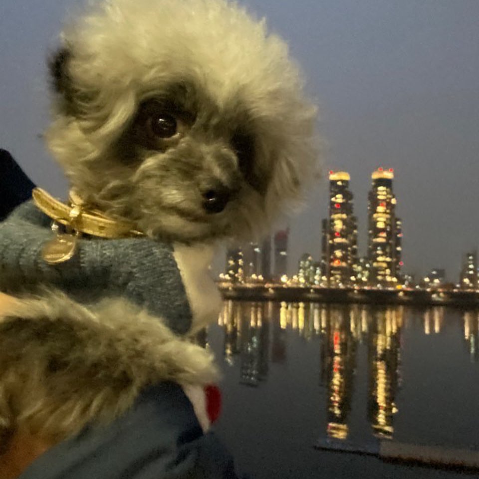 yurliekwon's tweet image. [yulyulk] 뚜ㅇ ㅣ ~ 🐾  언니오빠들 2019 년 한 해가 저물고있네멍 내년은 좋은 일 가득했으멍 .. #Dooe