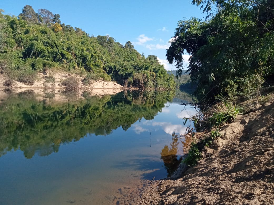 RongpiElbison's tweet photo. Kopili river https://t.co/TsPmMf72D8