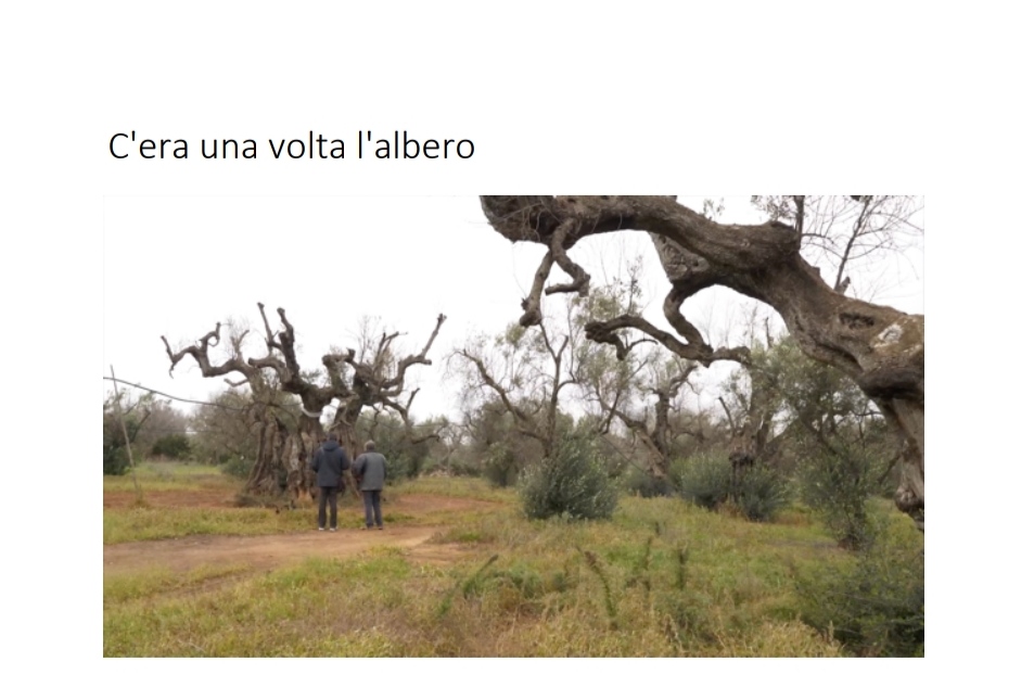 Info_iatAndrano's tweet photo. Ricordiamo a tutti che questa sera, alle ore 19:00, presso la Biblioteca don Giacomo Pantaleo di Andrano, il Premio Matroneo giungerà alla sua conclusione con la proclamazione dei vincitori.
#ClimateChange #proloco #Andrano #visitAndrano #helloaskme #photography #photo https://t.co/ZCCWZAFa25