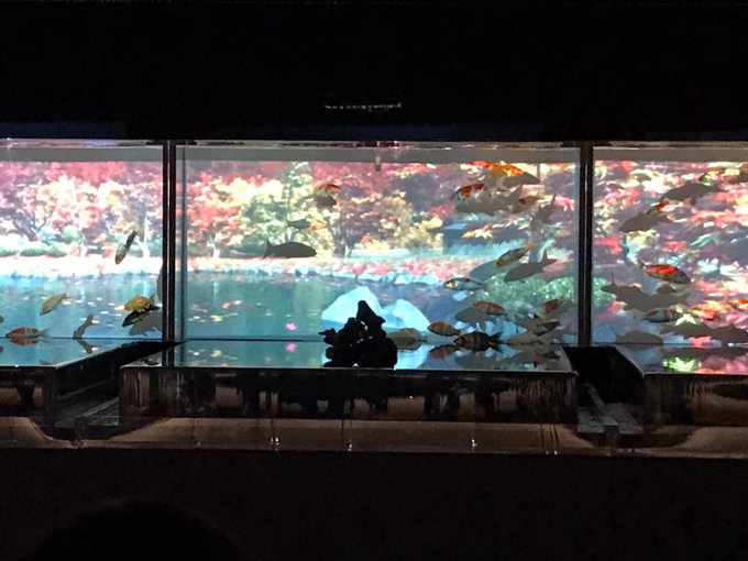 神秘的 高画質 のtwitterイラスト検索結果 古い順