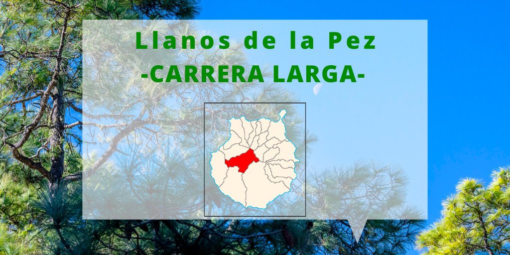 GCOM_info's tweet photo. ¡Buenos días!🌞 Comienza el segundo día en @Tejeda_GC🌲🌄 Tercera jornada de #GCOM2019. Hoy toca ruta sur por Llanos de la Pez con la carrera de larga distancia. ¡Comenzamos!🏃🏽✅ https://t.co/GD7fCfFxrM