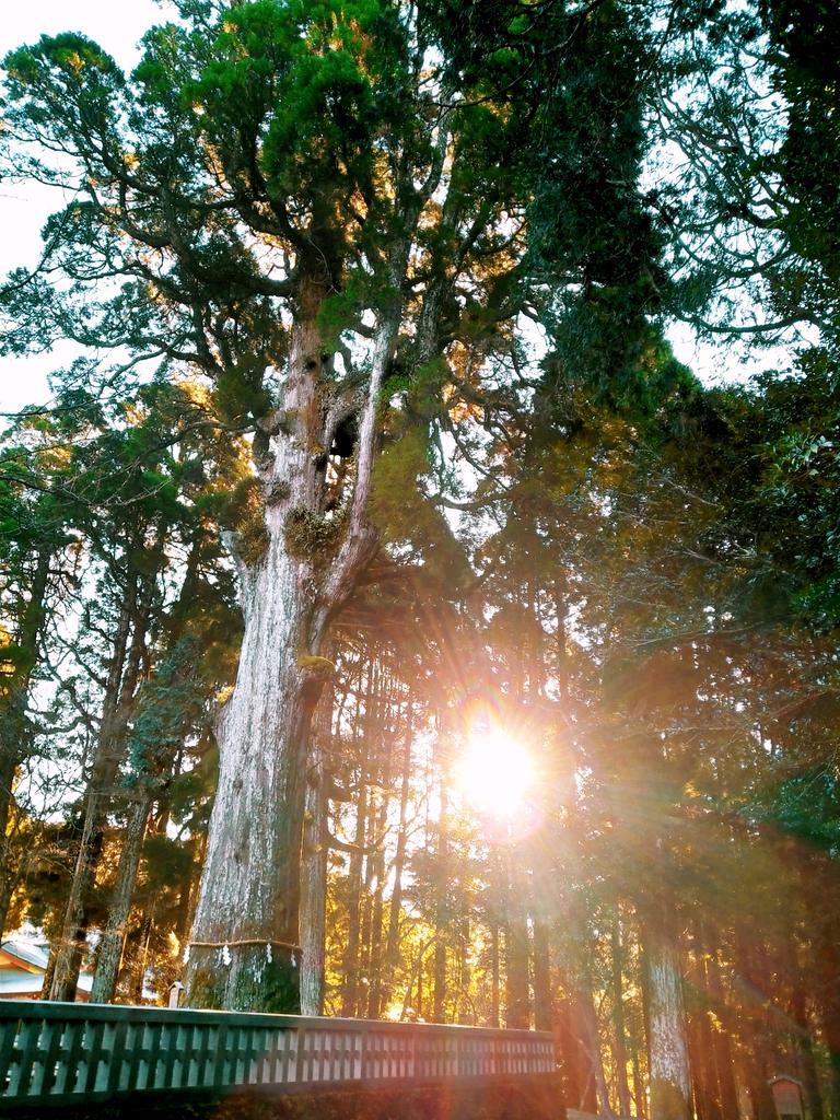 お守り返納 Twitter Search Twitter