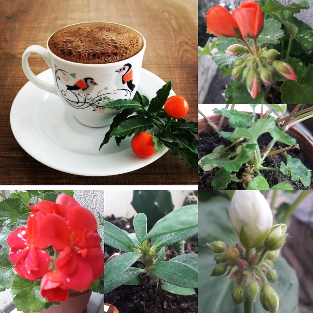 menzG6's tweet photo. #Dedi ne yapıyorsun ?
#dedim gün gün bakıyorum ;
#dedi
#Enbiyanin seyyidini alan #dünyadan
#vefa mı bekliyorsun ?
#Meczup #laaaaaa ....ââ dan LÂl
#mhrc https://t.co/Gsv1WcsyHQ