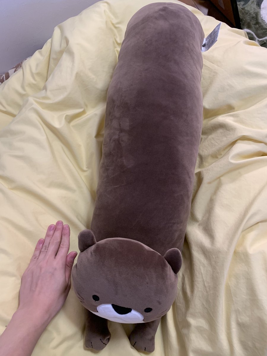 ティラヌー ちなみにこのカワウソくん抱き枕はニトリのデコホームで買えます 通販 はおそらく無い ネットで調べても全然ヒットしないので隠れたアイテムだ