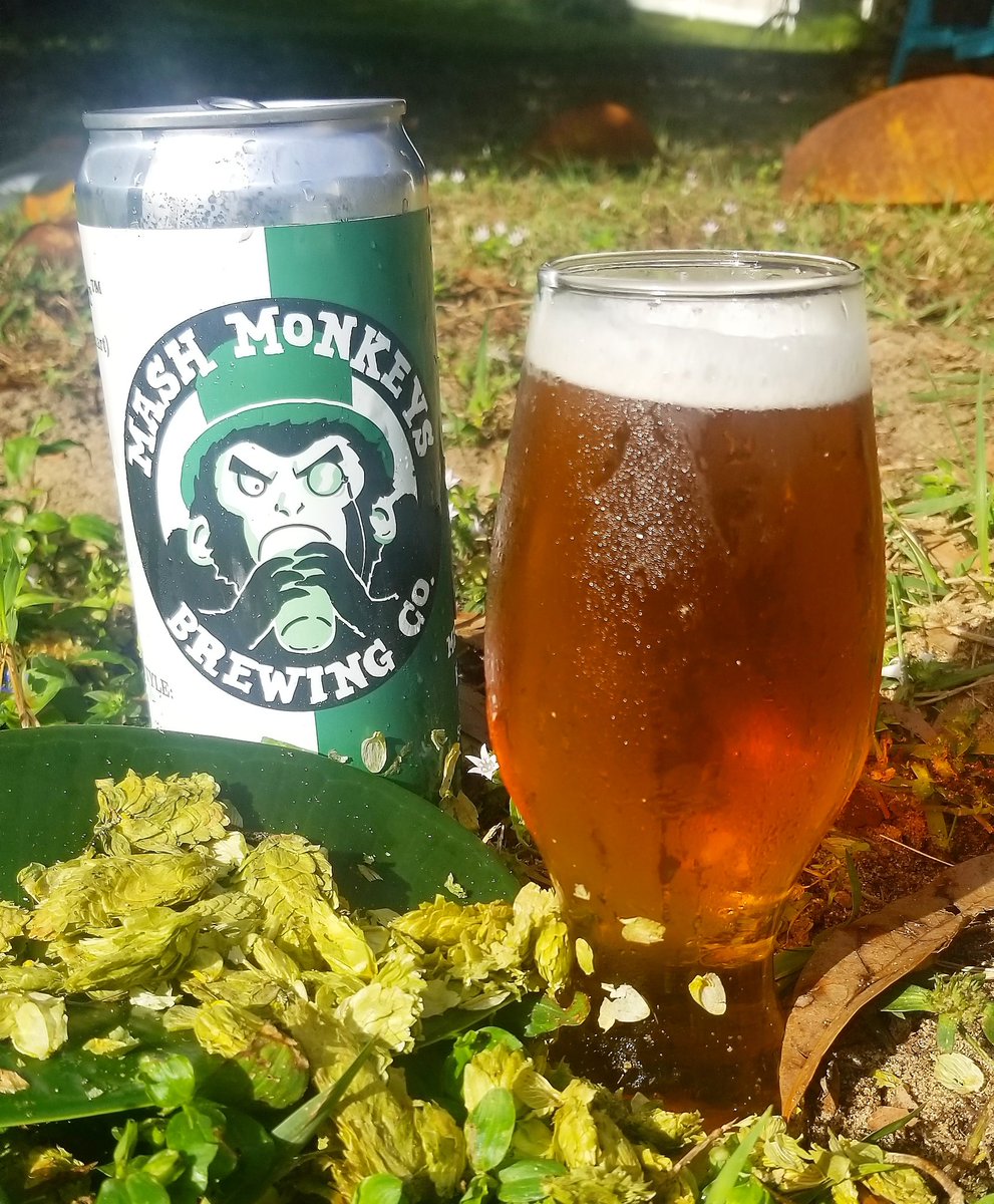 MashMonkeysCo's tweet photo. THE PIMP is back! This American IPA is loaded with Zappa hops! A neomexican hop originally found growing wild in New Mexico, Zappa boasts flavors of citrus, pine, passionfruit, fruit pebbles, and purple! 😍 A fun &amp; fresh hoppy beer  that goes down easy!
5.1%
68 IBUs https://t.co/y8jKZDz0GY