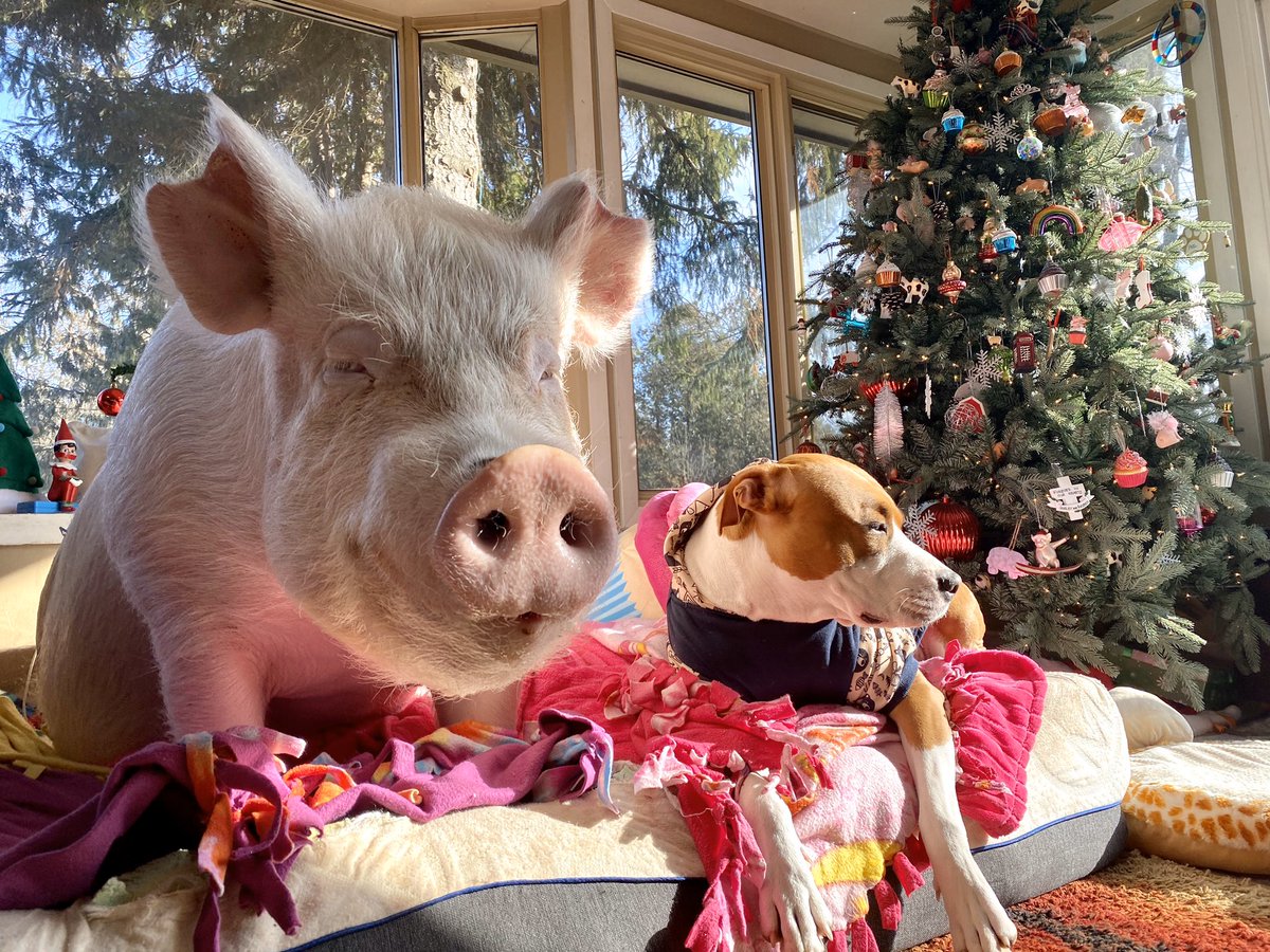 Life is better with a best friend.