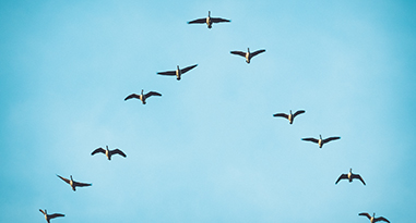 “The new reality is that marketing needs to know more about sales, sales needs to know more about marketing, and we all need to know more about our customers.” 🗣Learn more about the what and why of #sales &amp; #marketing alignment here, via <a href="/salesforce/">Salesforce</a>: sforce.co/34AEKaD