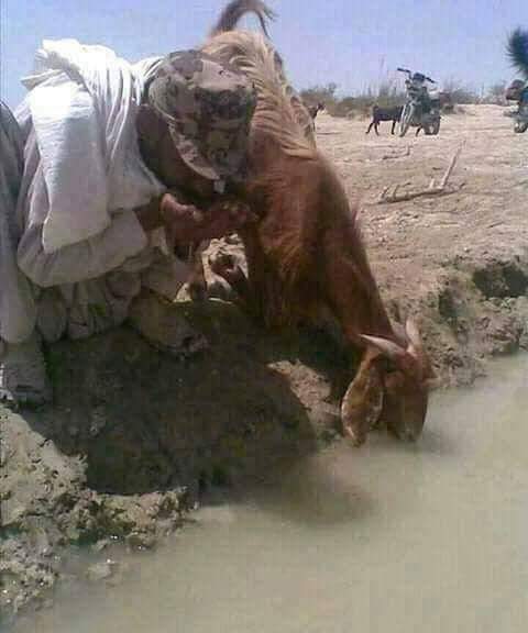 MuqeemKakar1's tweet photo. بلوچستان کیلئے آواز بلند کرنے والوں کیلئے ایک بلوچستانی شہری ہونے کی وجہ سے ایک درخواست بلوچستان میں سیکنڈ سیکنڈ پر پانی زیر زمین نیچے جا رہی ہیں پانی کیلئے زخیرہ کرنے کیلئے ڈیموں کے بارے میں خصوصی پوسٹوں کی ضرورت ہے،، 

#GiveRights2Balochistan https://t.co/knVg8d0So8