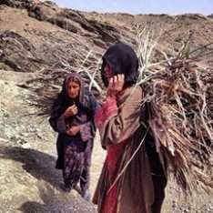 khalil_alim's tweet photo. ہمارے #بلوچستان میں  عوام کو سر چھپانے کیلئے چھت نہیں، ہاسپیٹل میں دوائیاں،اور سٹرکچرز نہیں ، عوام پینے کے لئے صاف پانی کے بوند بوند کو ترس رہے ہیں پڑھنے کے لئے سکول اور ٹیچر نہیں مگر، 
37 ارب وفاق کو واپس کر دیا جاتا ہے 
سلیکٹڈڈ وزیر اعلیٰ 
😭😭😭😭😭
#GiveRights2Balochistan https://t.co/RqFjiE5zEX
