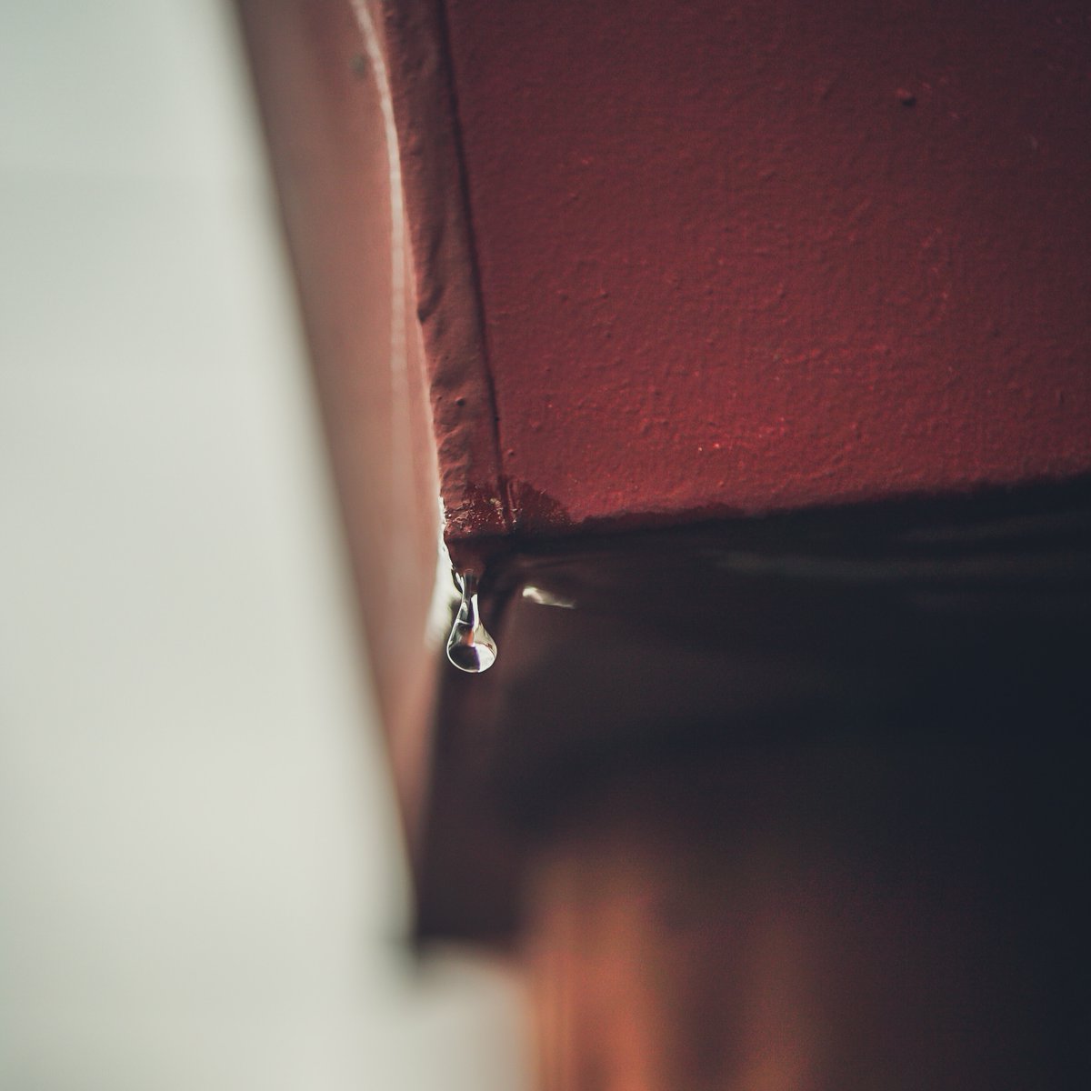 danielsaustintx's tweet photo. Think you may have a water leak? Here are the Top 5 Symptoms:

💧Spike in your water bill
💧Damp carpet or drywall
💧Water pooling
💧Mold or mildew
💧Poor water pressure

#DanielsAustin #AustinPlumbing #Plumbing #WaterLeak #DanielsPlumbing https://t.co/xqK4juVYHt