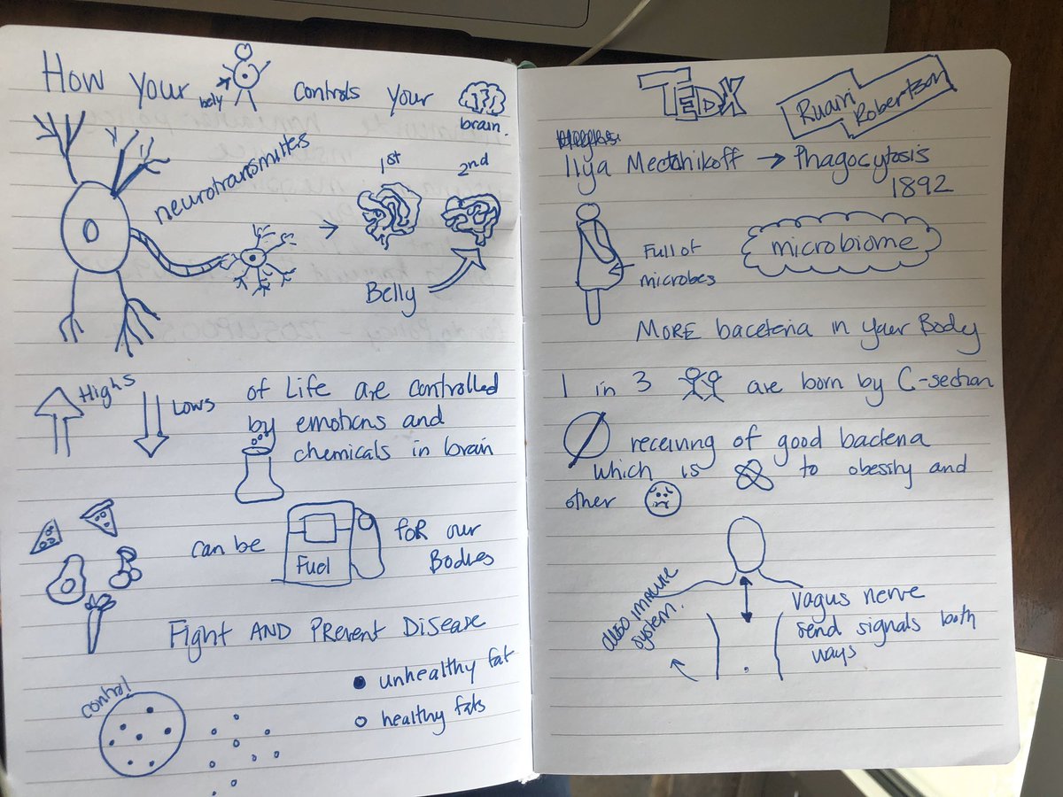 mespirk's tweet photo. Listened to a TedX talk while learning to sketchnote. How your belly controls your brain with @ruairirobertson  #GreatTwitterTechChallenge #StVrainSketches #peteacher #holistichealthcoach #foodforthought #tedx #Stvrain #teacher https://t.co/PnBGQHt16O