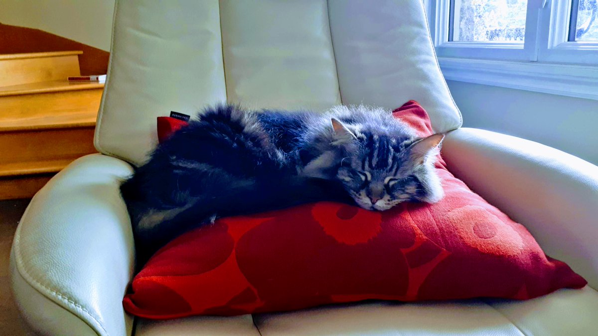 cestepatent's tweet photo. @Marimekkoglobal sleepy Sunday morning #Marimekko https://t.co/aKcOj4vhxH