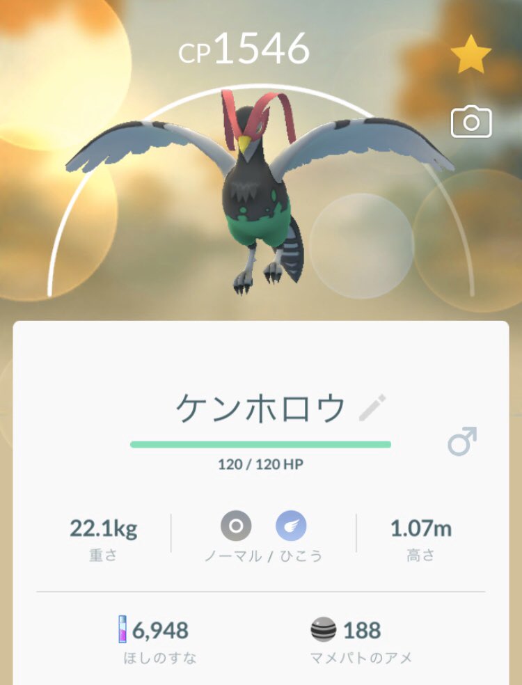 ハトーボー Twitter Search