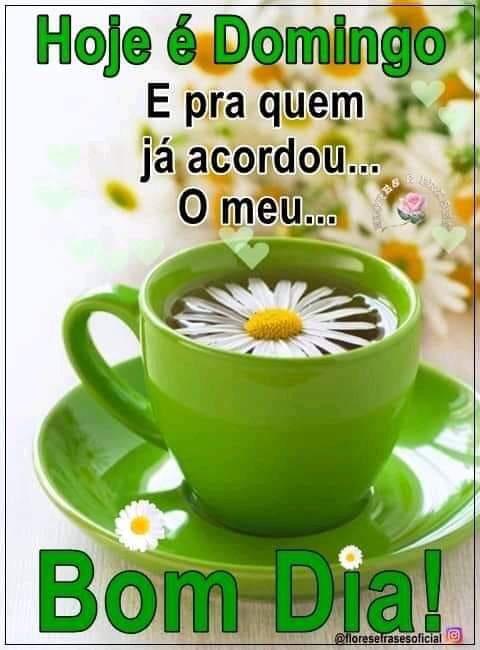 ❤ 🐈🐱🐾 on Twitter: ❤ 🐈🐱🐾 on Twitter: