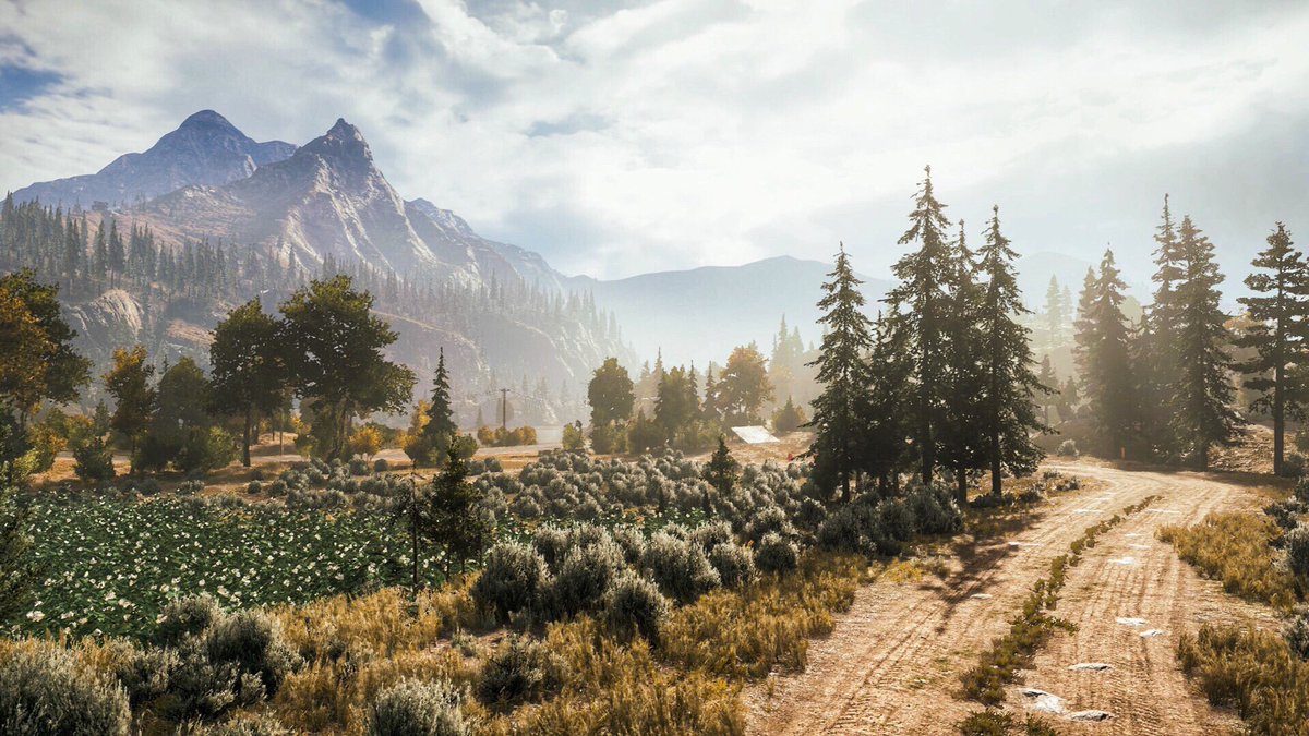 Far far hill. Округ Хоуп far Cry 5. Штат Монтана far Cry 5. Far Cry 5 Монтана Хоуп. Far Cry 5 hope County.