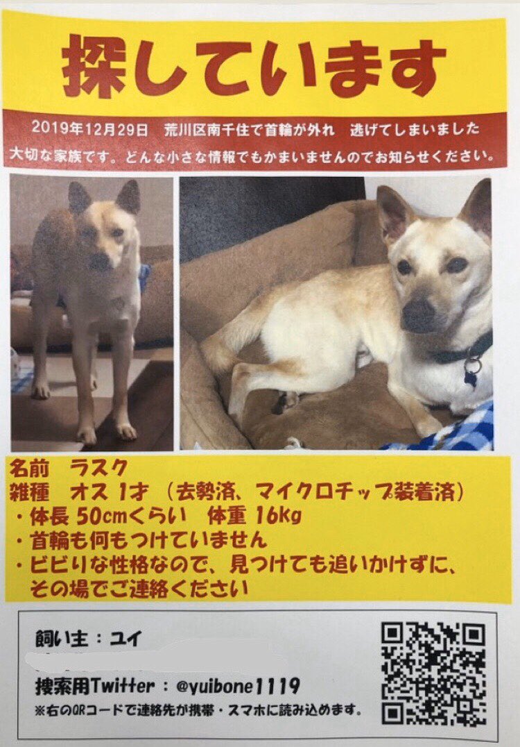 yuibone1119's tweet photo. 【拡散希望】犬を探しています　本日14:30頃、東京都荒川区南千住で首輪が外れてしまいました　ビビリなので見つけたら追いかけずご連絡ください　大切な家族なので1秒でも早く見つけてあげたいです　小さな情報でもいいのでお待ちしています
#迷い犬　#迷子犬　#保護犬 #荒川区　#拡散希望 https://t.co/oHN5Bnejuc