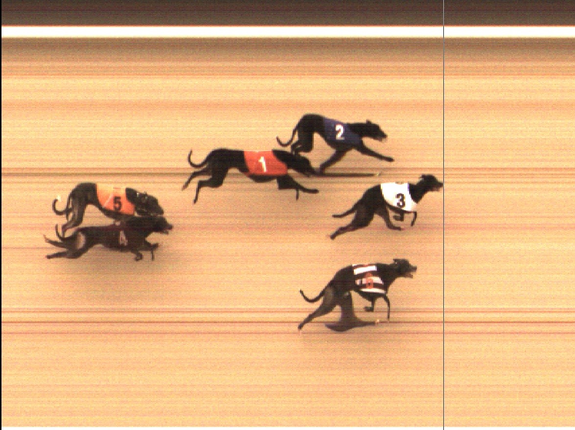 SunderlandDogs's tweet photo. We've put down the Chocolates & donated the remaining Mince Pies to the Stadium Staff π€£ Its time to get back to it!! Week 7 #PhotoFinishChallenge #Declared R.7 12.41 29/12 @NewcastleDogs @Kinsley_Dogs @pborogreyhounds @OwlertonStadium @perrybarrdogs @bellevuestadium @GBGBStaff https://t.co/Km1i0LYJmr