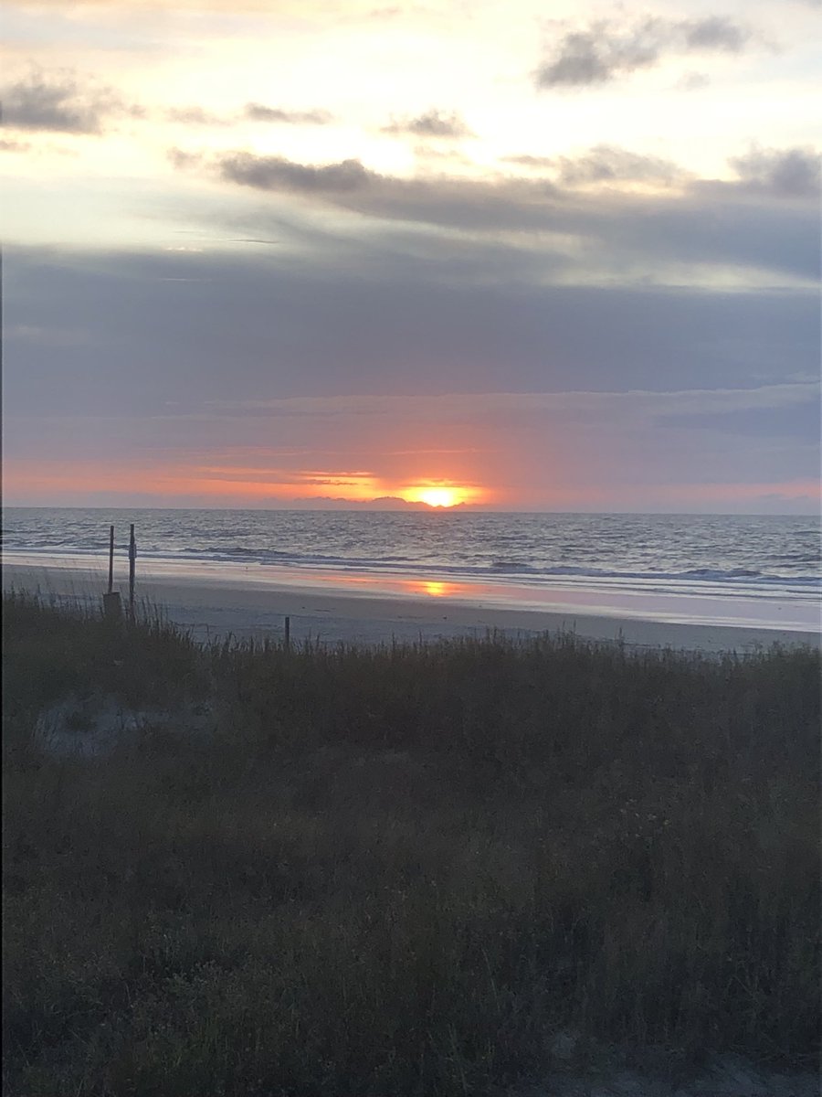 Mark Moore tweet media