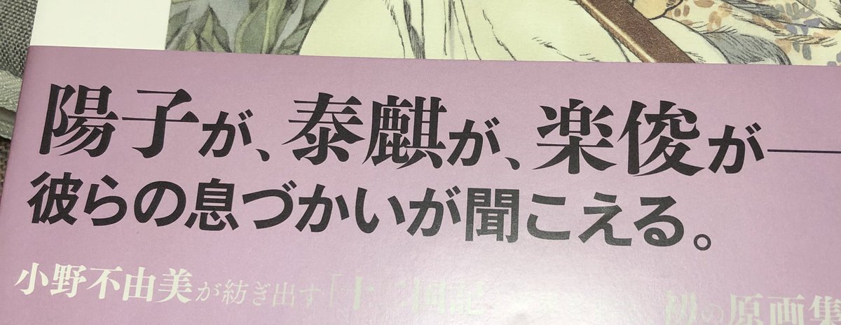 山田さんの画集のこの帯の文がとても好きだ…!!
って見るたび思います(陽子、泰麒ときて楽俊が入るの最高にありがとうございます…) 