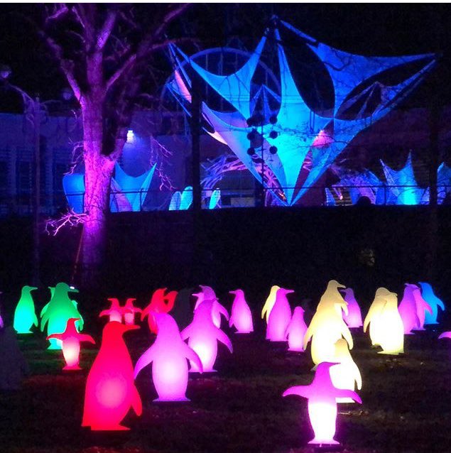 Debra Roth tweet media