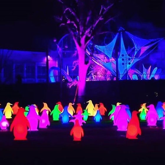 Debra Roth tweet media