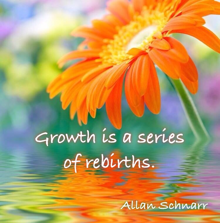 ALLAN SCHNARR (@feelingitall) on Twitter photo 
