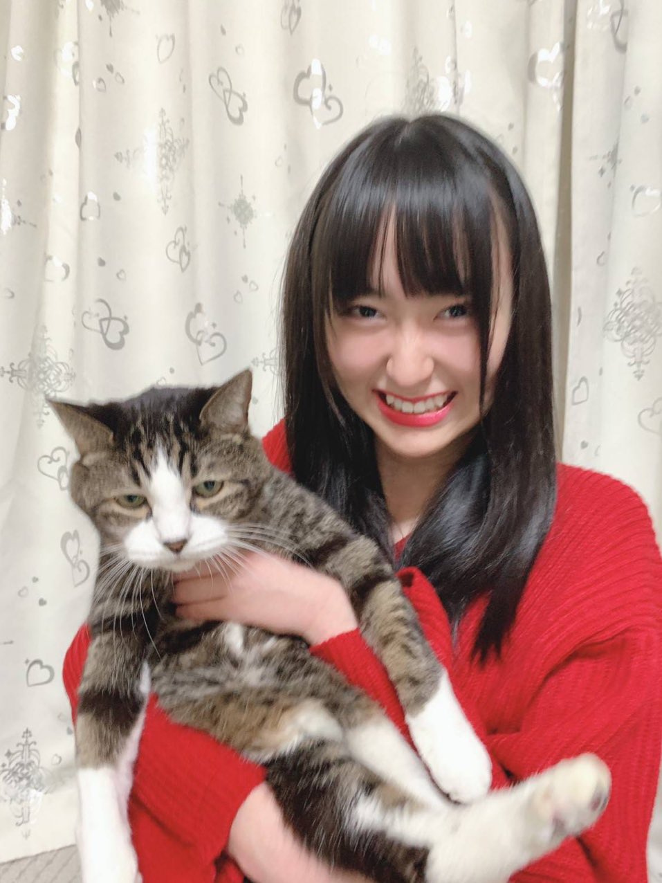 モ*モ様 ≠ME 川中子奈月心 プロデュース ぶらさがるなつみんのねこ 川中子奈月心プロデュース「ぶらさがるなつみんのねこ」発売