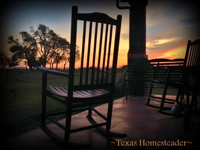 Tx_Homesteader's tweet photo. The Story of Our Journey to our Beloved Texas Homestead. Why did we come here? How did we start homesteading? We love it here, come read why! https://t.co/quae3LdSly
.
.
#TexasHomesteader #SimpleLife #VoluntarySimplicity https://t.co/rOr6blaqWe