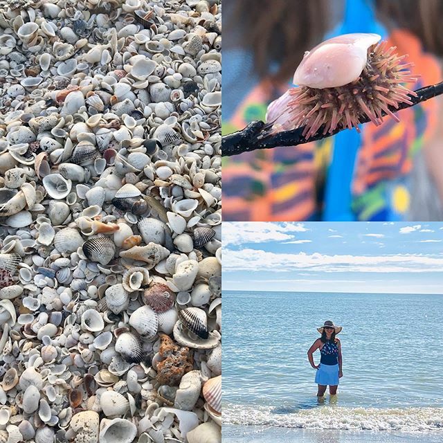 Mrs. Lirette's LD tweet media