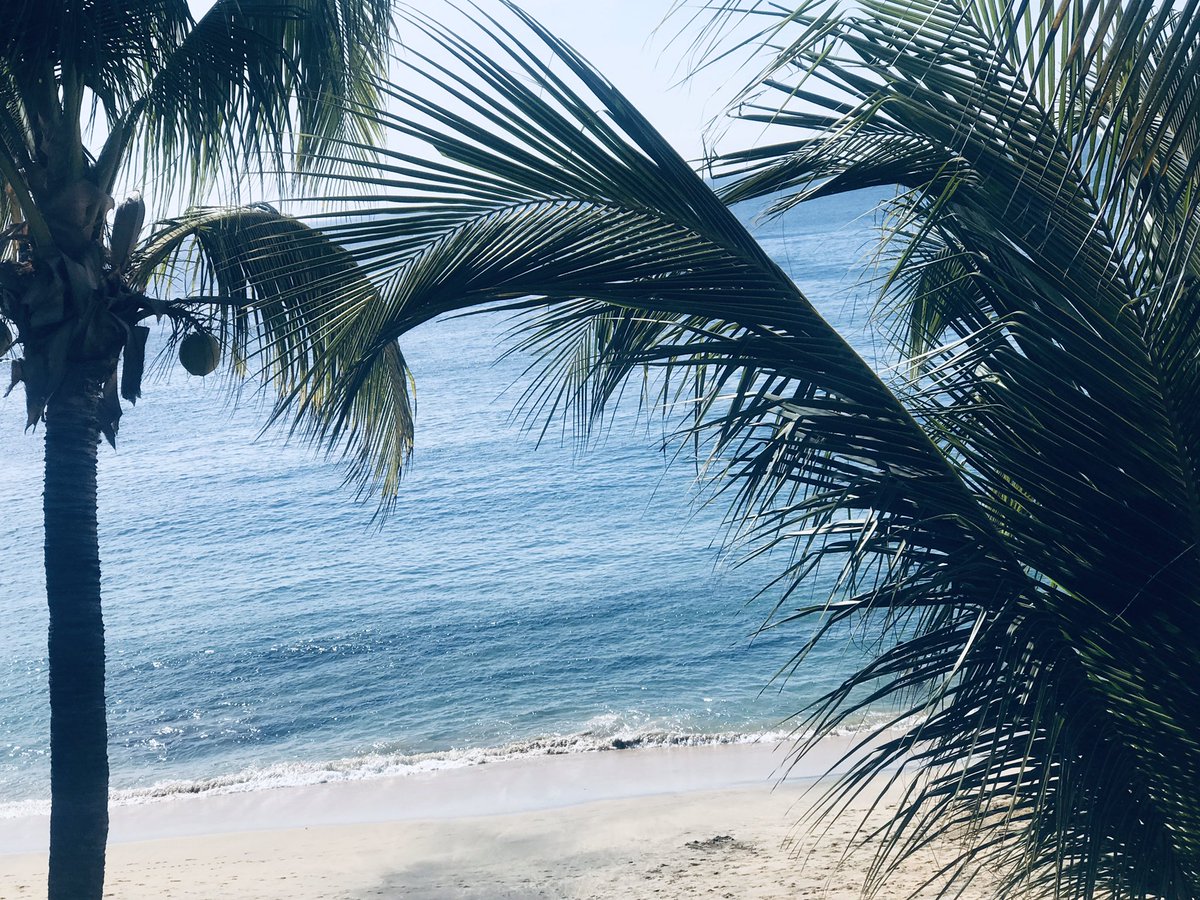 ale_chilango's tweet image. #Mazunte