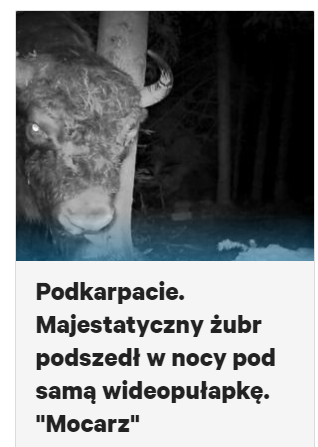 kmleski's tweet photo. #
Napisałbym coś o PRL-owskim odjeździe @ZandbergRAZEM, ale wyleciałbym z TT.

To napiszę, że videopułapki są chyba sprzeczne z ustawą o ODO. https://t.co/MaJSdeKhI8