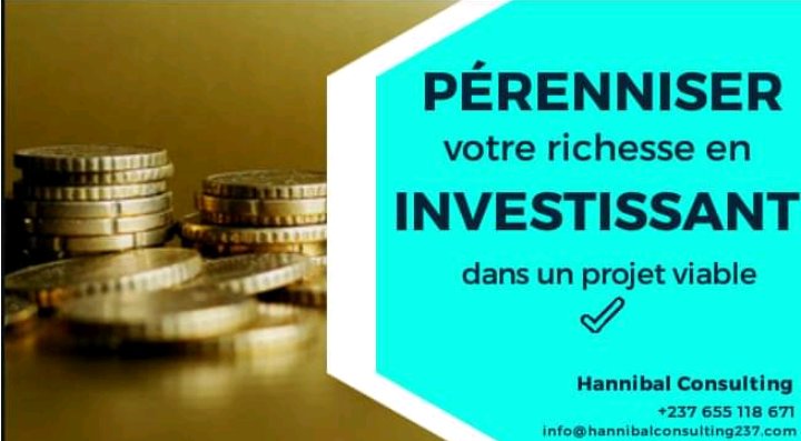 HANNIBAL CONSULTING tweet media