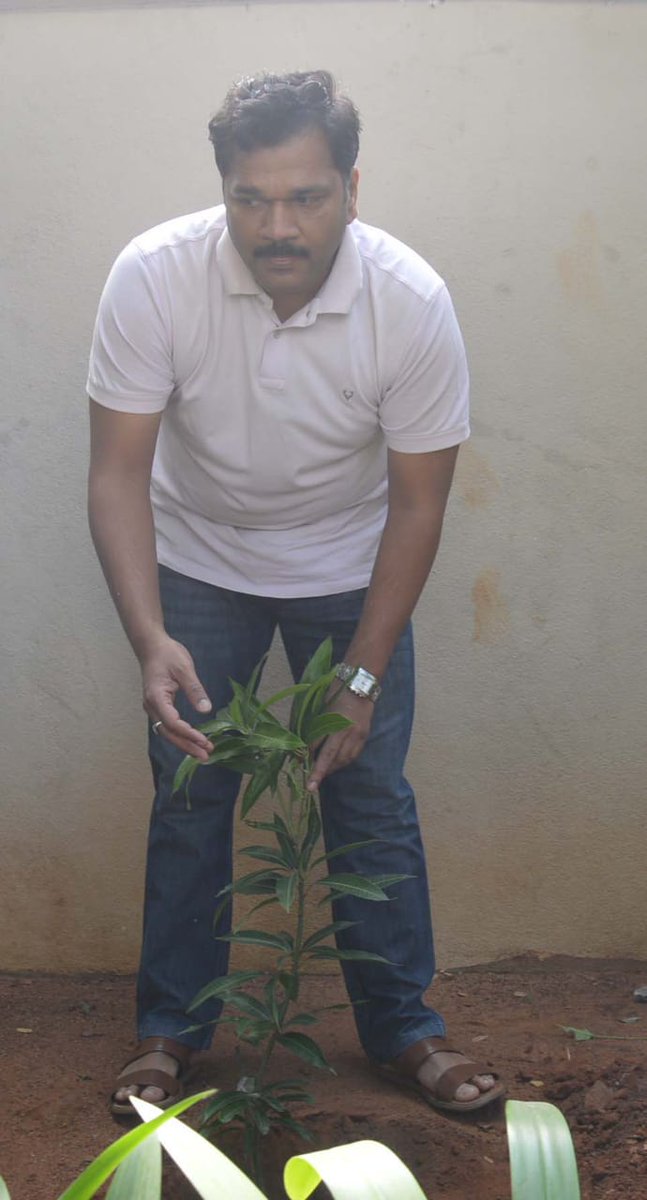 Collector_BDD's tweet photo. Accepted #GreenIndiaChallenge from @MPsantoshtrs planted saplings in Dist.Collector's camp office,Bhadradri Kothagudem and now i invite Hon'ble Minister of Transport Sri.Puvvada Ajay Kumar Garu, MLA Yellandu Smt.Hari Priya Garu and @SpKothagudem to accept Green India Challenge. https://t.co/SmqjIiyLp9