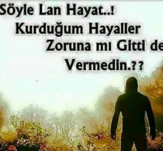 Serkan (@serkan___) on Twitter photo 