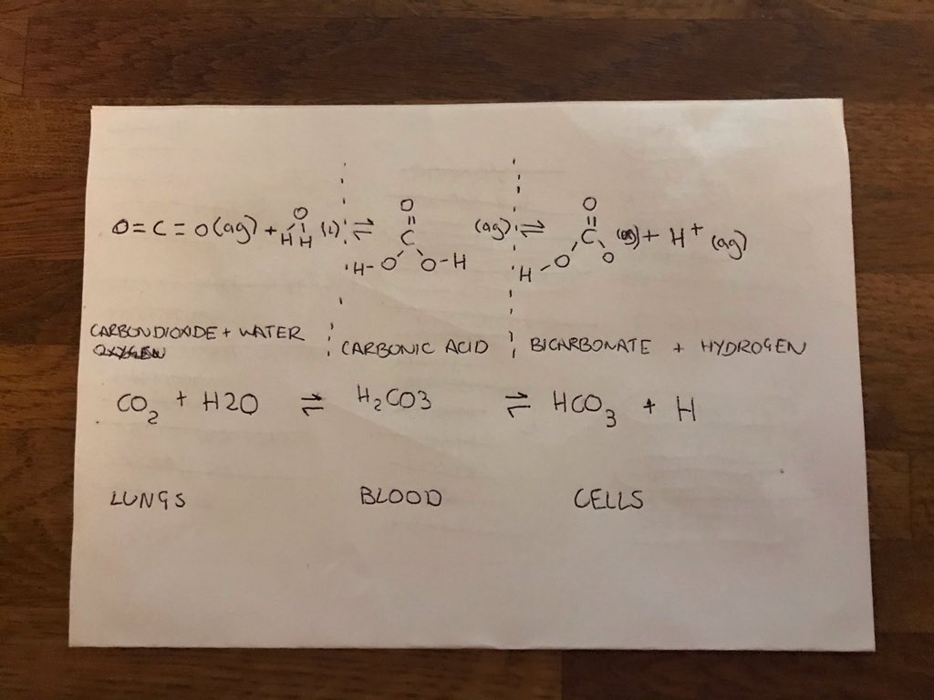 el_peachy's tweet image. Send help. 

#christmasrevision #acidbase #buffersystem