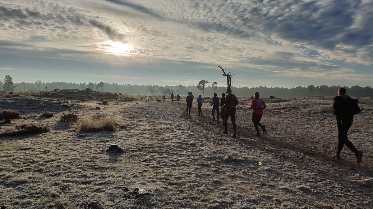 vangestelmark's tweet photo. Eindejaarstrail Loonse en Drunense Duinen was weer TOP π₯³ #trailrunning #trainrunachieve https://t.co/4Ku1zF5UWH