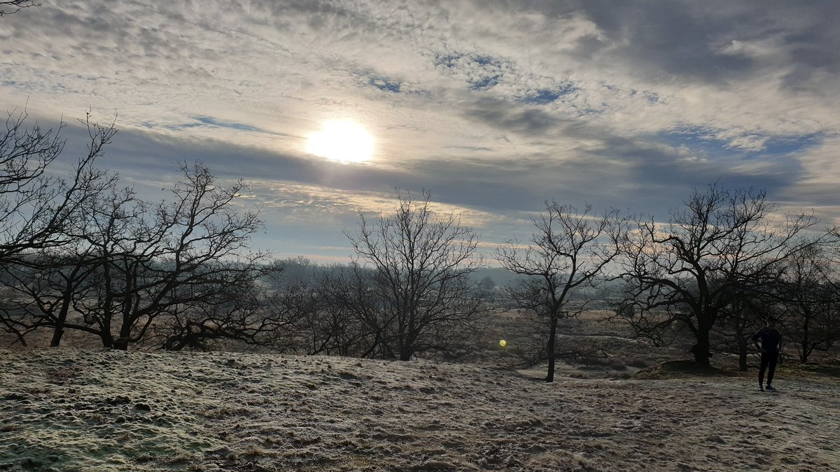 vangestelmark's tweet photo. Eindejaarstrail Loonse en Drunense Duinen was weer TOP π₯³ #trailrunning #trainrunachieve https://t.co/4Ku1zF5UWH