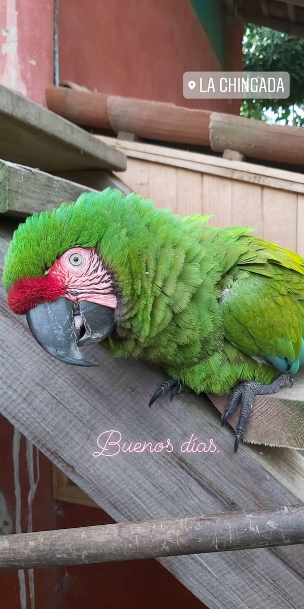 Pamela Verboonen (@pam_verboonen) on Twitter photo 