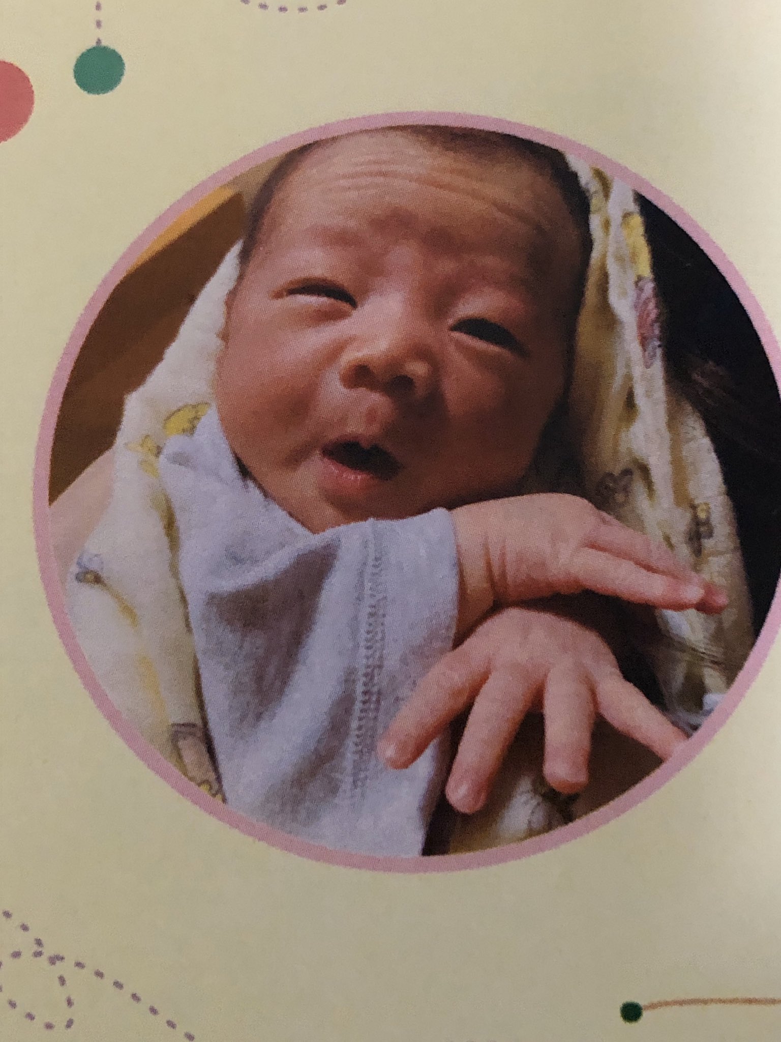 子供 続柄 の の 姪