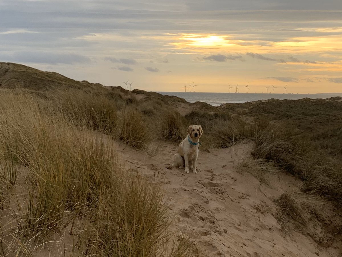 lmorrisrainey's tweet photo. Christmas walks admiring the European Offshore Wind Deployment Centre #EOWDC #offshorewind #renewableenergy #Scotland @ScotRenew @VattenfallUK https://t.co/HTFH0g7jOL