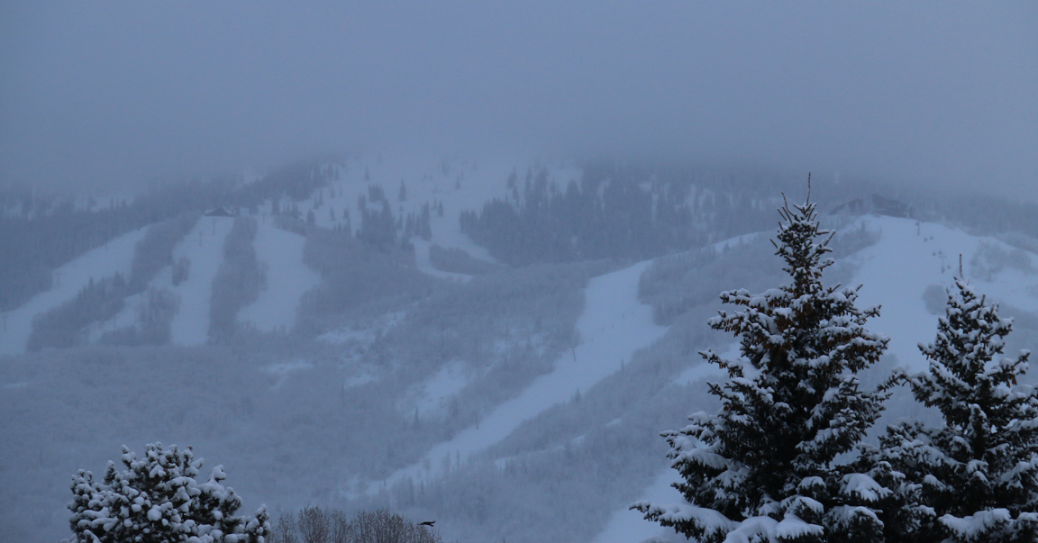 Cold. Frosty. Snowy. A perfect day to be up skiing on the big hill or the pass, snowboarding or splitboarding, Nordic skiing, snowshoeing.... or all the above all day long!
