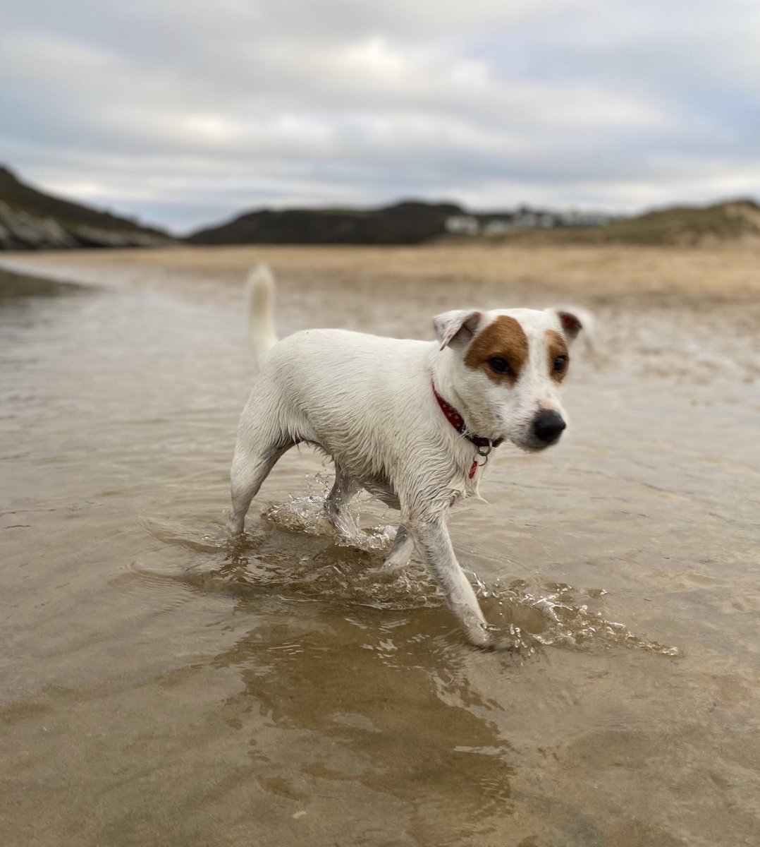 Dawn_French's tweet photo. Cornwall. Awful   #goodie https://t.co/5Fr6dHYyXE