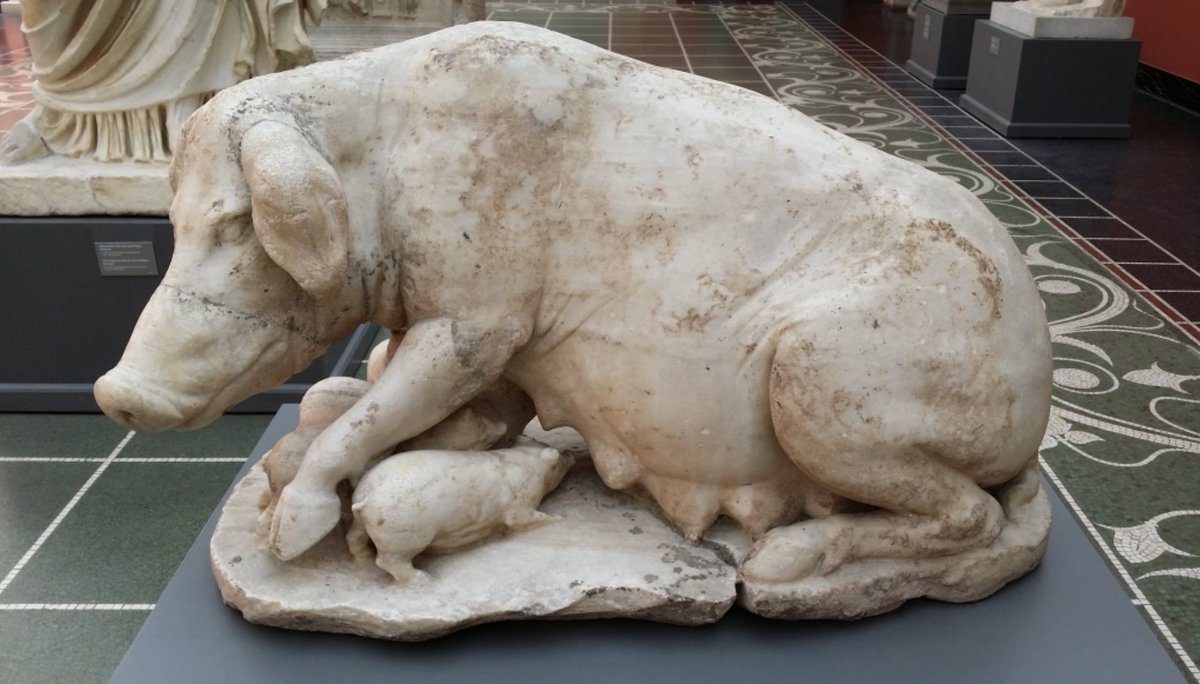 Tom Ljevar tweet media